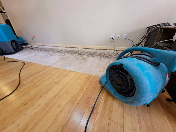 Professional Flood Damage Cleanup technician working in Nelliston, NY